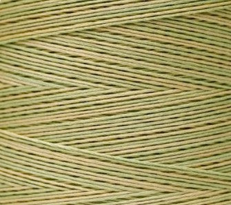 Weeks Dye Works - Butter Bean [6-STRAND COTTON]