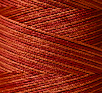 Weeks Dye Works - Carolina Cecil [6-STRAND COTTON]