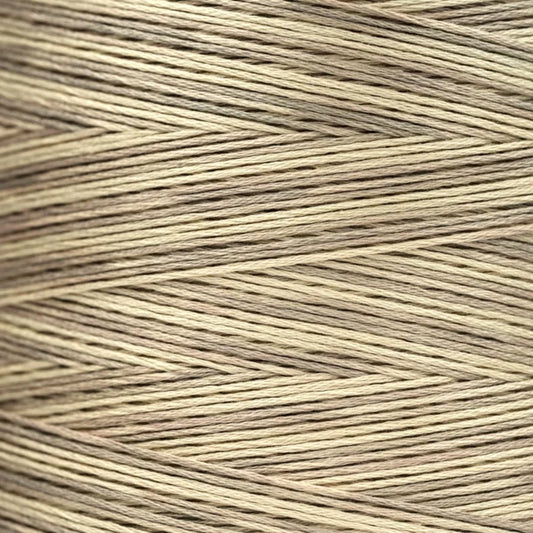Weeks Dye Works - Coquina [6-STRAND COTTON]