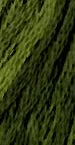 The Gentle Art - Green with Envy
