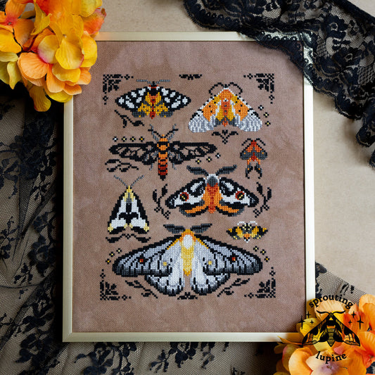 Sprouting Lupine - Ochre Wings [PRE-ORDER - SHIPS EARLY SEPTEMBER]