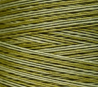 Weeks Dye Works - Scuppernong [6-STRAND COTTON]
